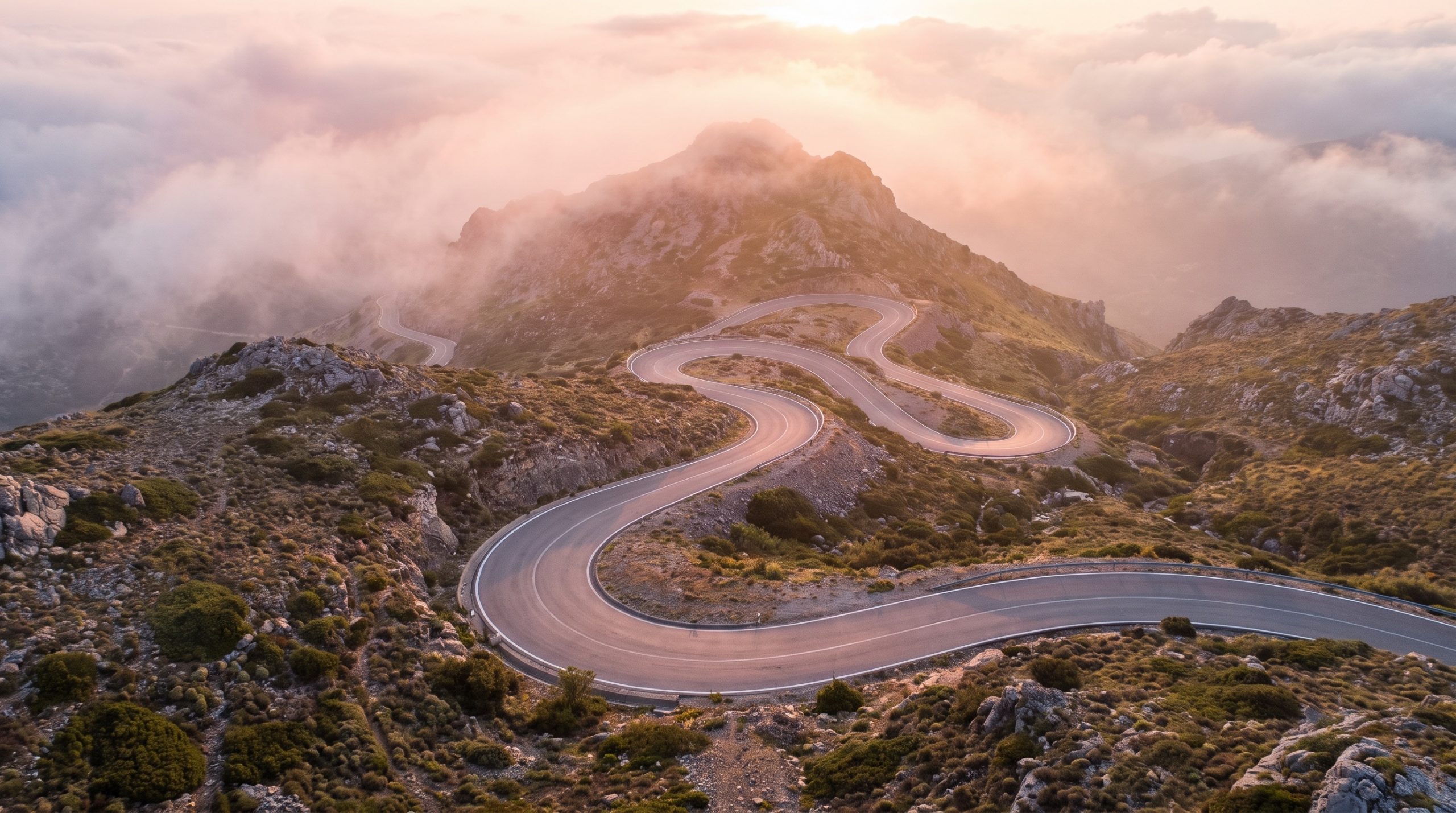 The roadmap between pilot and P&L